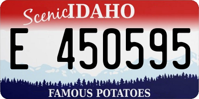 ID license plate E450595