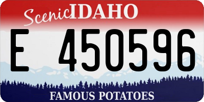 ID license plate E450596