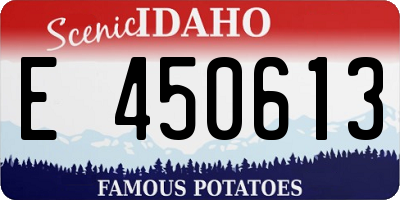 ID license plate E450613