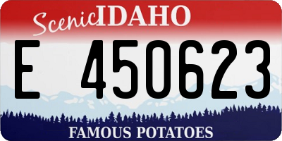 ID license plate E450623