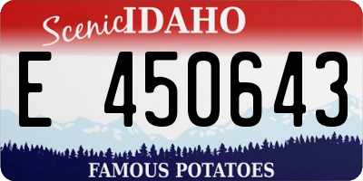 ID license plate E450643