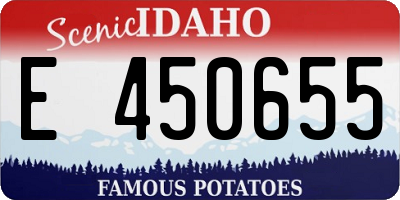 ID license plate E450655