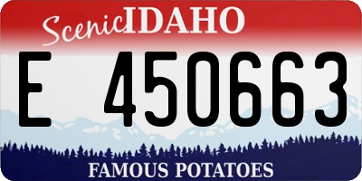 ID license plate E450663