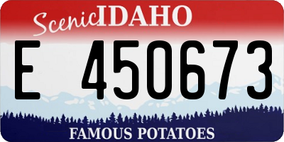 ID license plate E450673