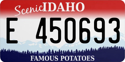 ID license plate E450693