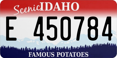 ID license plate E450784