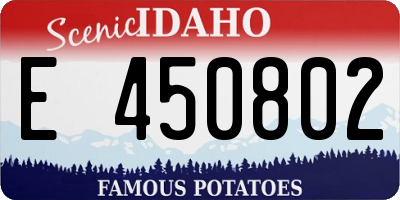 ID license plate E450802