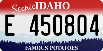ID license plate E450804