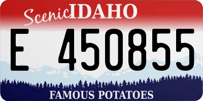 ID license plate E450855