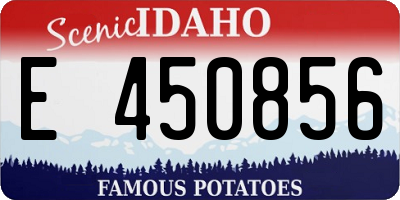 ID license plate E450856