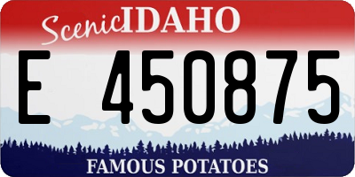 ID license plate E450875