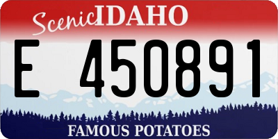 ID license plate E450891