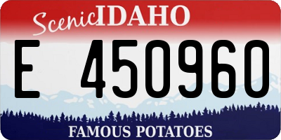 ID license plate E450960
