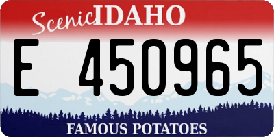 ID license plate E450965