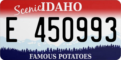 ID license plate E450993