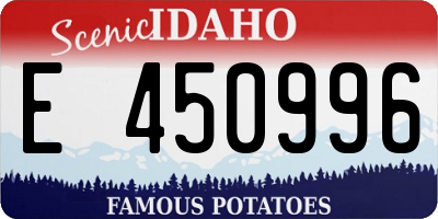 ID license plate E450996