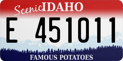 ID license plate E451011