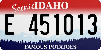 ID license plate E451013