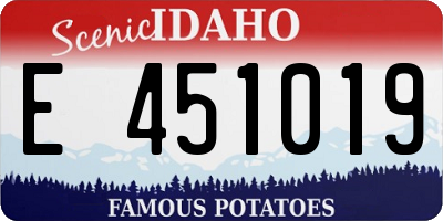 ID license plate E451019