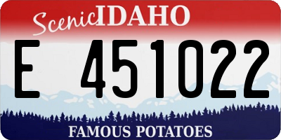 ID license plate E451022