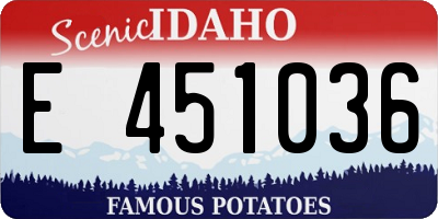 ID license plate E451036