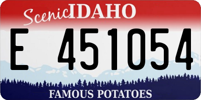 ID license plate E451054