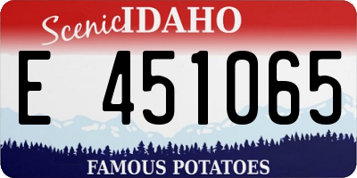 ID license plate E451065