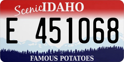 ID license plate E451068
