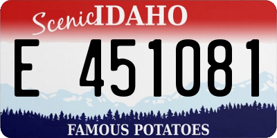 ID license plate E451081