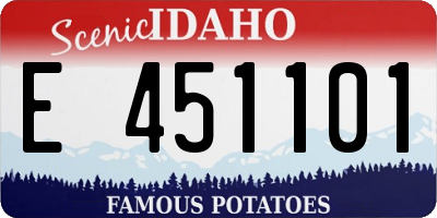 ID license plate E451101