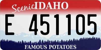 ID license plate E451105