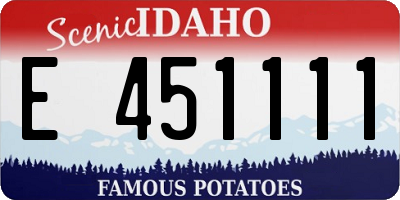 ID license plate E451111