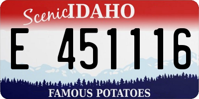 ID license plate E451116