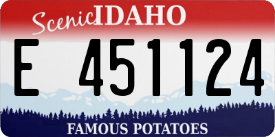 ID license plate E451124