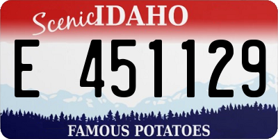 ID license plate E451129