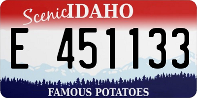 ID license plate E451133