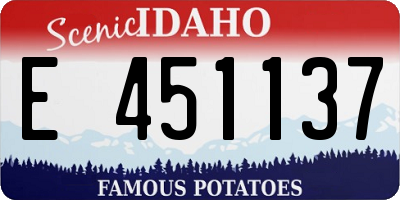 ID license plate E451137
