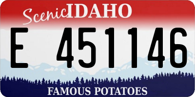 ID license plate E451146