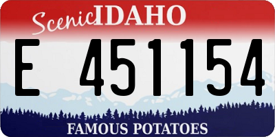 ID license plate E451154