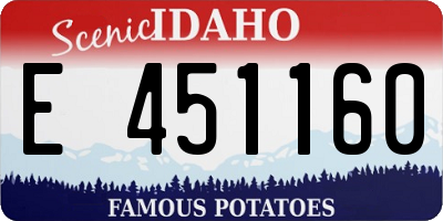 ID license plate E451160