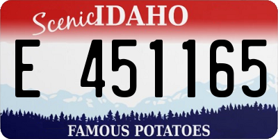 ID license plate E451165