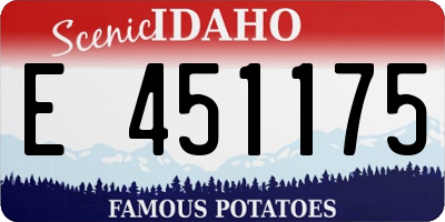 ID license plate E451175