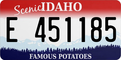 ID license plate E451185