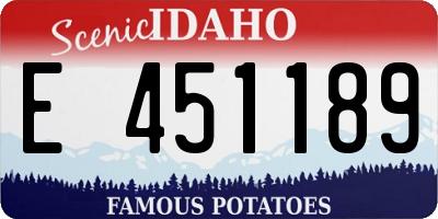 ID license plate E451189