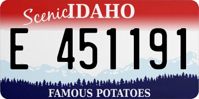 ID license plate E451191