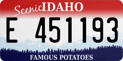 ID license plate E451193