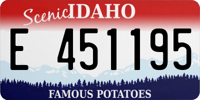 ID license plate E451195