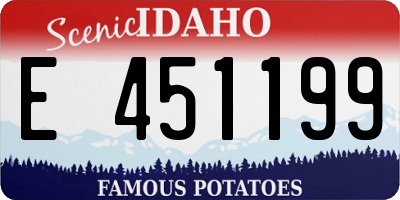 ID license plate E451199