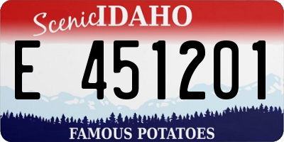 ID license plate E451201
