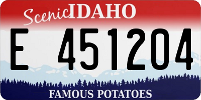 ID license plate E451204